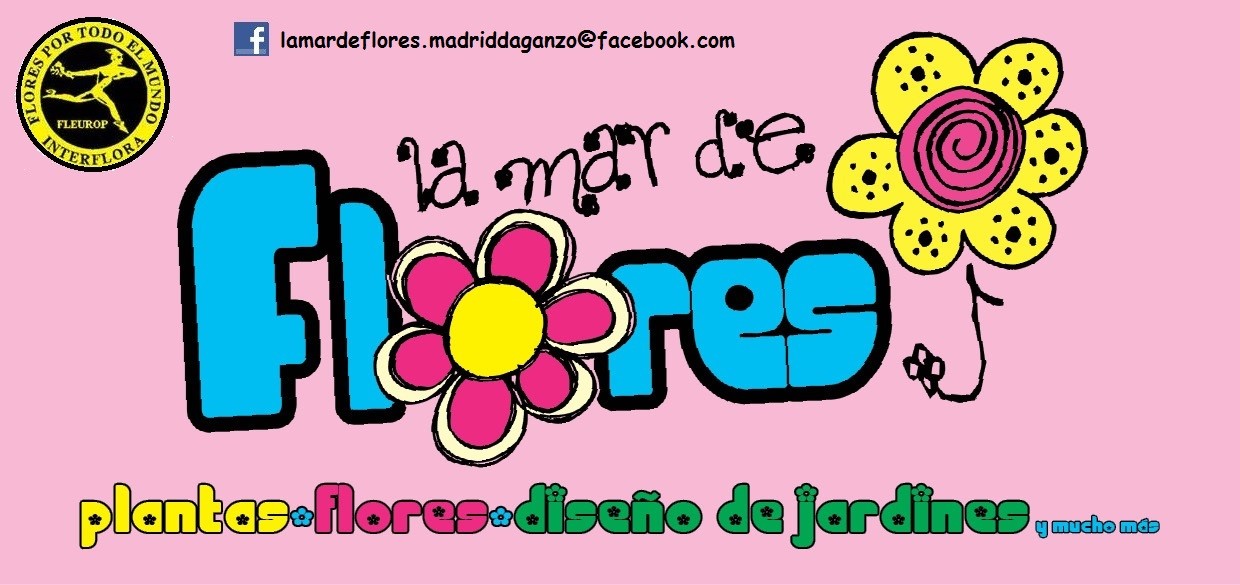 lamardeflores